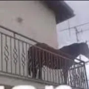 chat with ai character: Juan