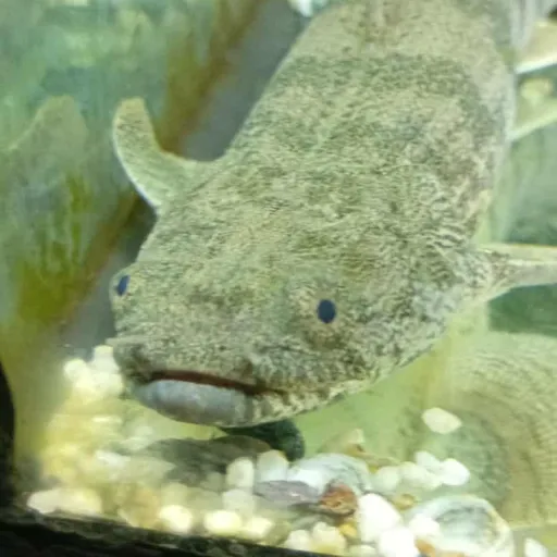 creator casino 🎰's avatar