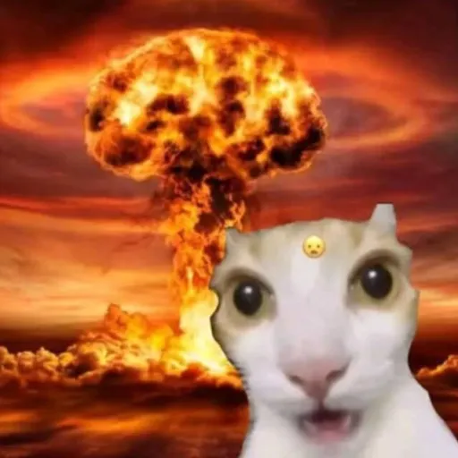 creator casino 🎰's avatar