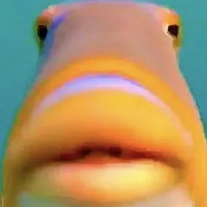creator el fish's avatar