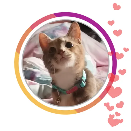 creator MysticJinx7388's avatar