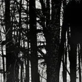 chat with ai character: entity-389.