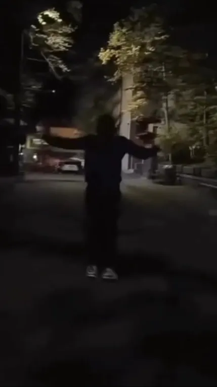 ai character: Serbian dancing la background
