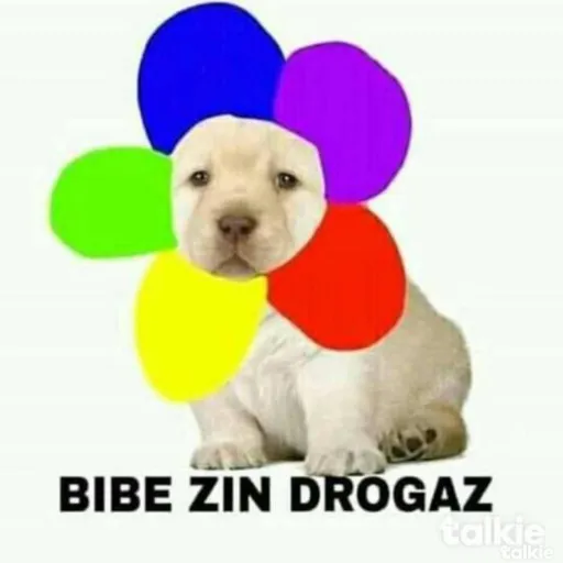 comment user avatar