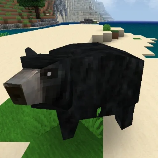 creator blackbearplayz's avatar