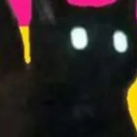 chat with ai character: Pansexual kitty