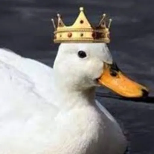 creator CheeseMan_'s avatar