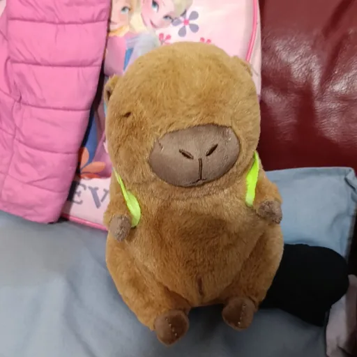 creator Kapibara❤️'s avatar