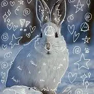creator Snow the therian's avatar