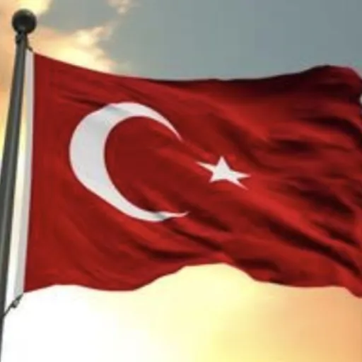 creator Melinasophie's avatar