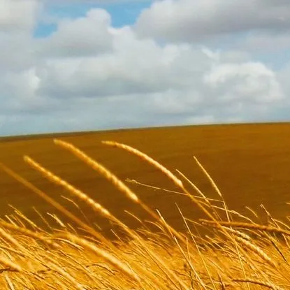 chat with ai character: Empty.