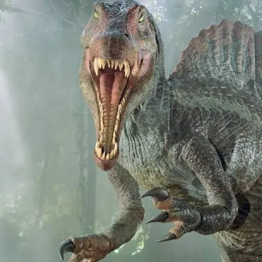 creator 💜 purple craft💜's avatar