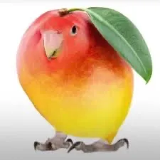 creator Mango Parrot's avatar