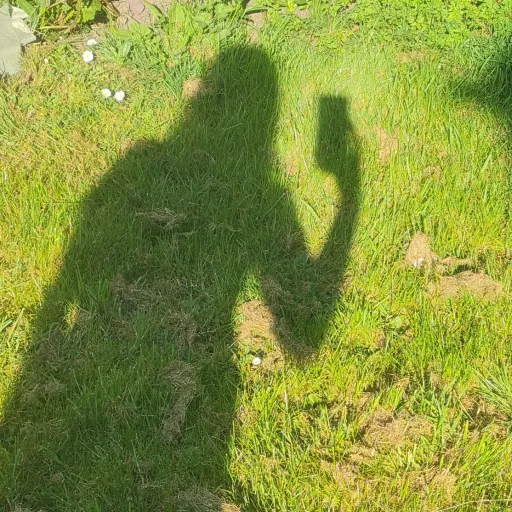 creator Talkior-l9H8kQ92's avatar