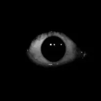 creator I_can_see_you's avatar