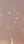 ai character: Fleetway In MHA background
