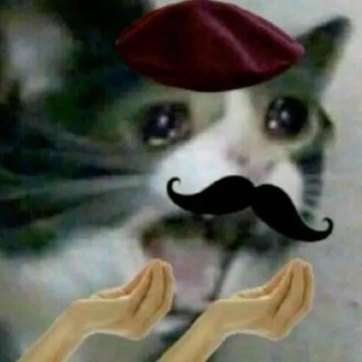 comment user avatar