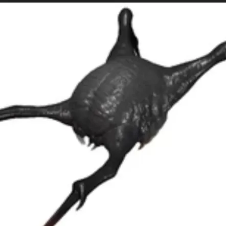 creator marrokay's avatar