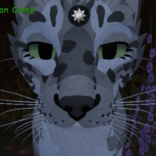 creator Fable_pook's avatar