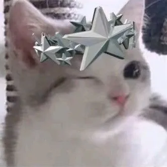 creator ~0Kittycat_lover0~'s avatar