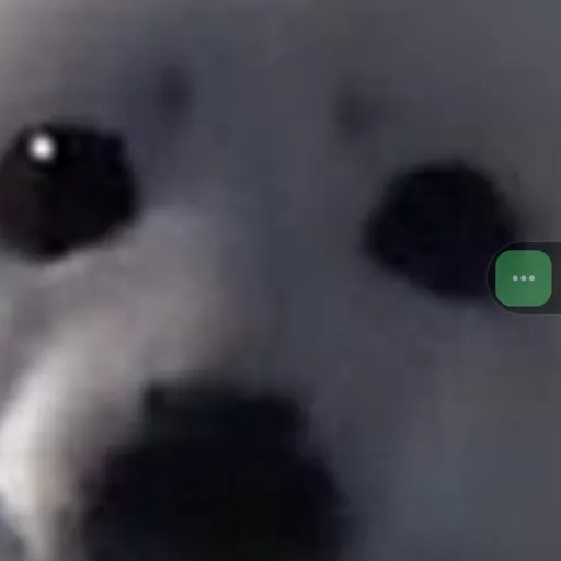 creator fake itmg's avatar