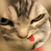 comment user avatar