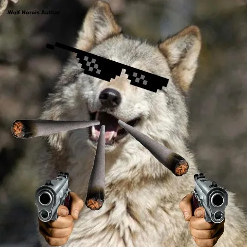 creator slush the wolf's avatar