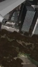 ai character: fpe  background