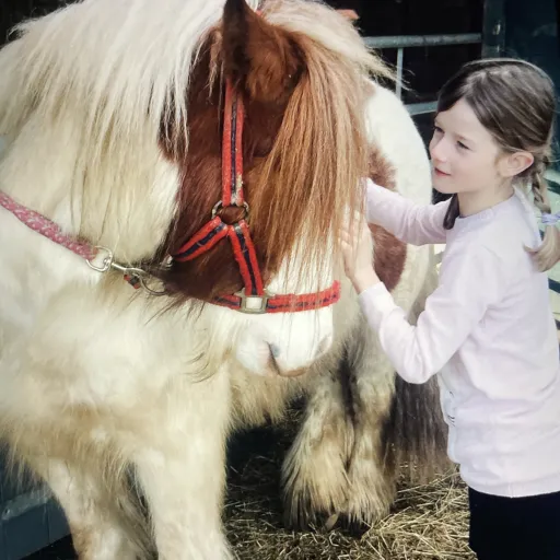 creator Horse girl❤️'s avatar