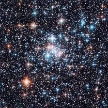 creator ~°•pup~`•♟(ㅇㅅㅇ❀)'s avatar