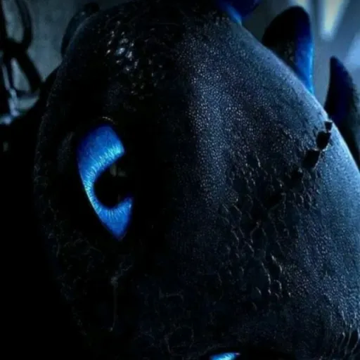 creator ~blue toothless~'s avatar