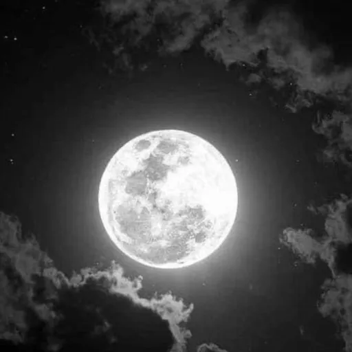 creator 🪐nick and Nova🐀's avatar