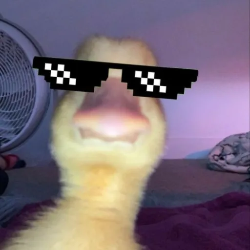 creator Talkieors's avatar