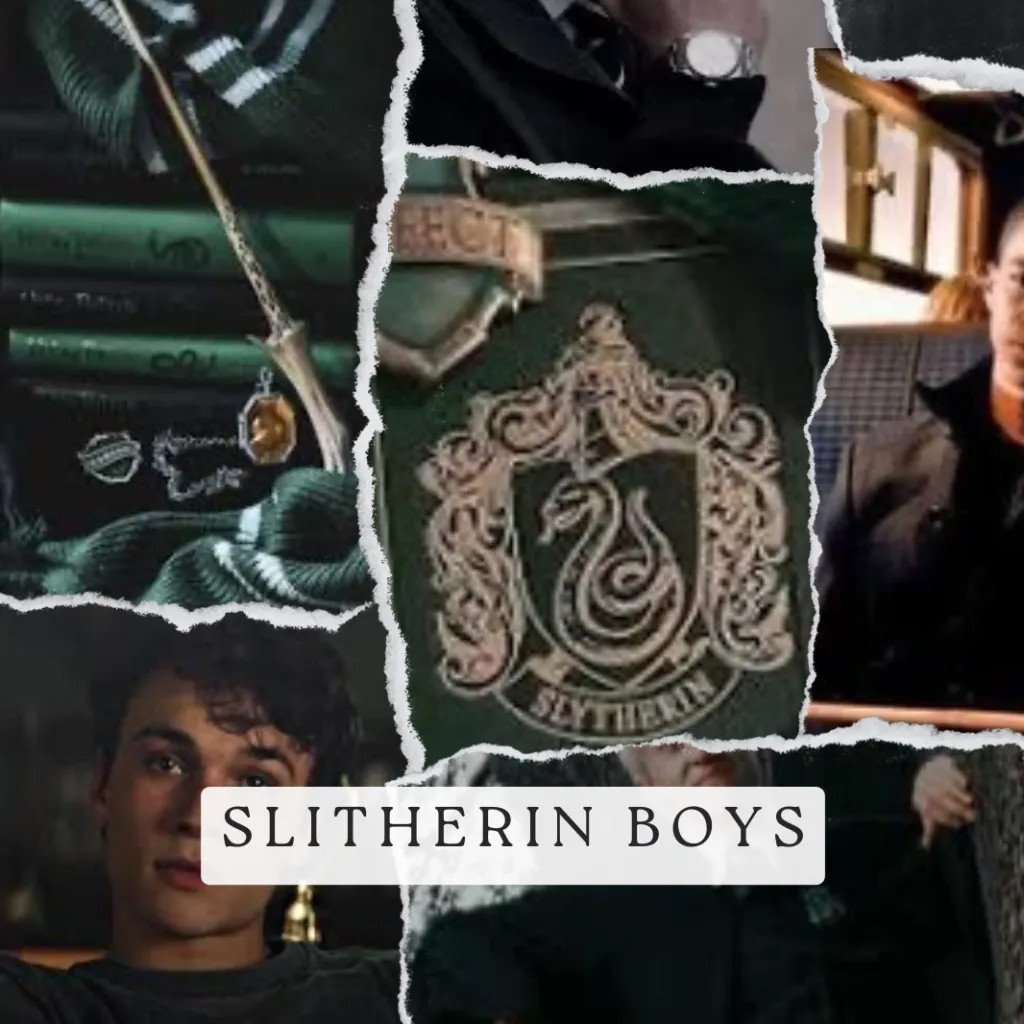 chat with ai character: Slitherin Boys