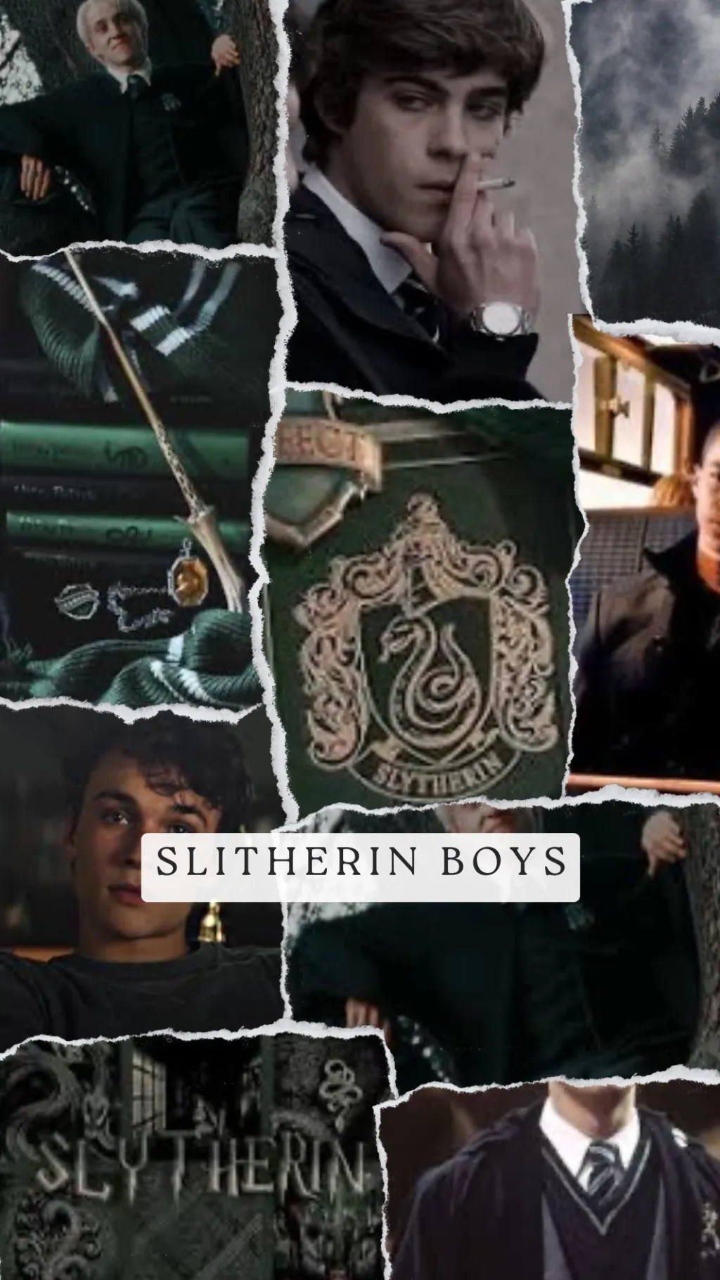ai character: Slitherin Boys background