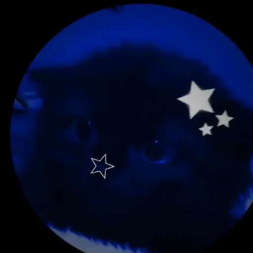 creator Ellie Ur monkey's avatar