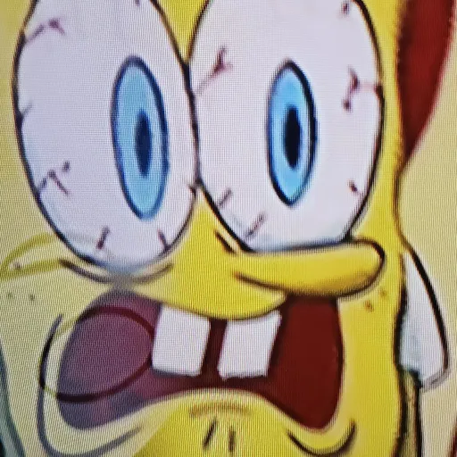 creator ●SpongeBob●'s avatar