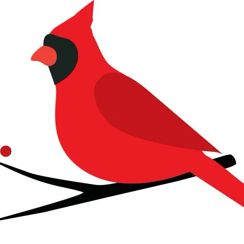 creator Berd…'s avatar