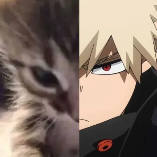 creator livii˚∘܀❤🎀's avatar