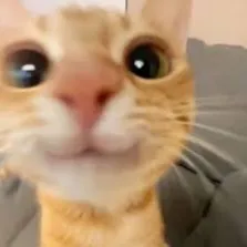 creator 𝕊𝕋★ℝ~𝕊𝕋ℝ𝕌ℂ𝕂's avatar