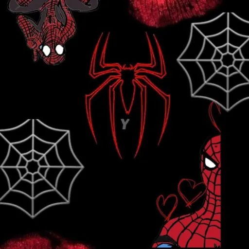 creator asly$'s avatar