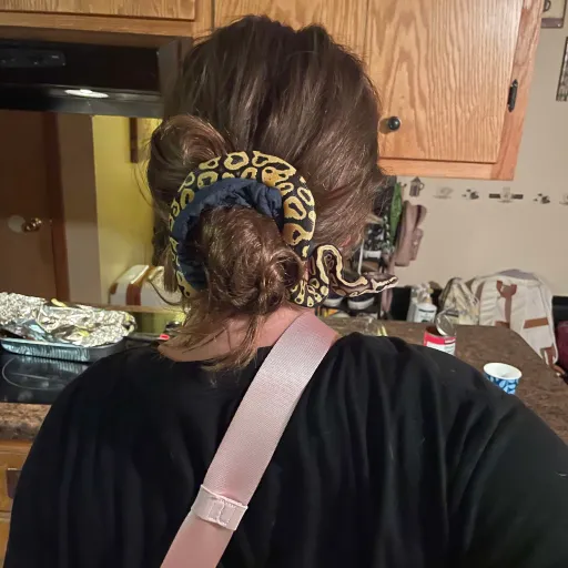 creator Jιʋιɳɾυ1's avatar