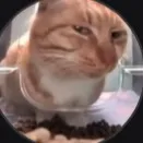 creator Dude………………………………….'s avatar