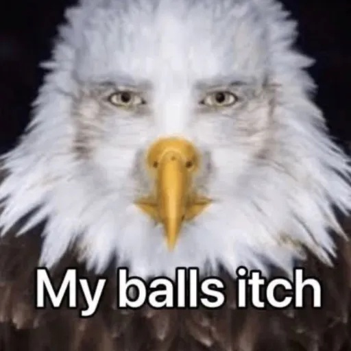 creator Lick my nuts's avatar