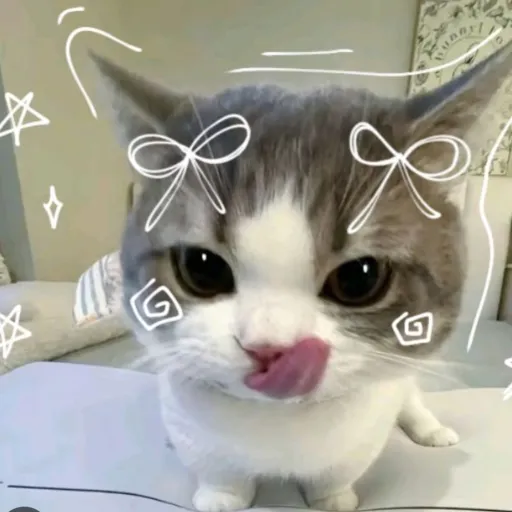 creator SILLYCATMICHIXD🎀's avatar