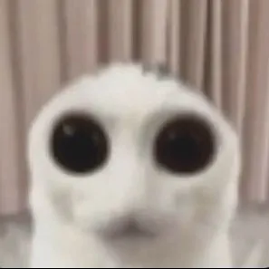 creator Dubadu's avatar