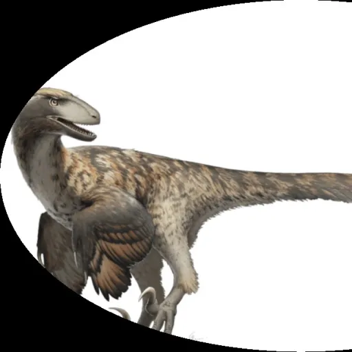 creator Deinonychus.'s avatar