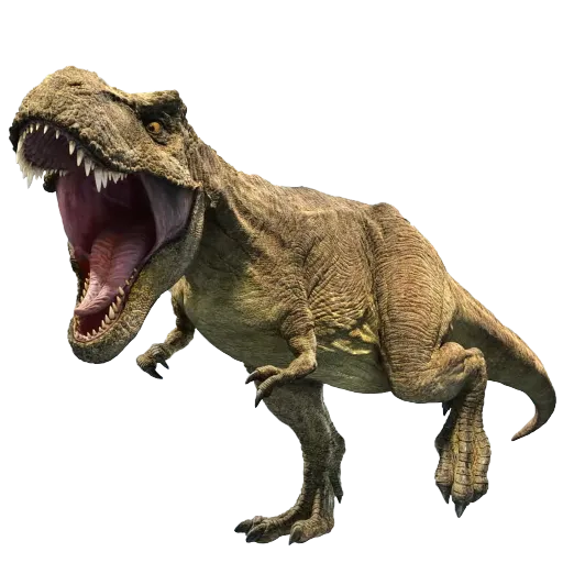 creator Rexy!!'s avatar