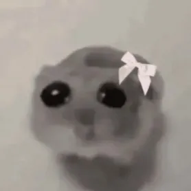 creator sad mouse ɞ's avatar