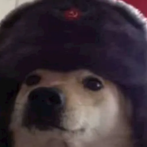 creator Mrperro's avatar